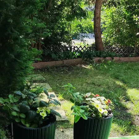 Lägenhet Na Skarpie *