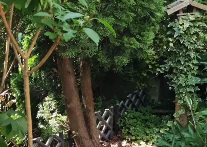 Apartmán Na Skarpie *